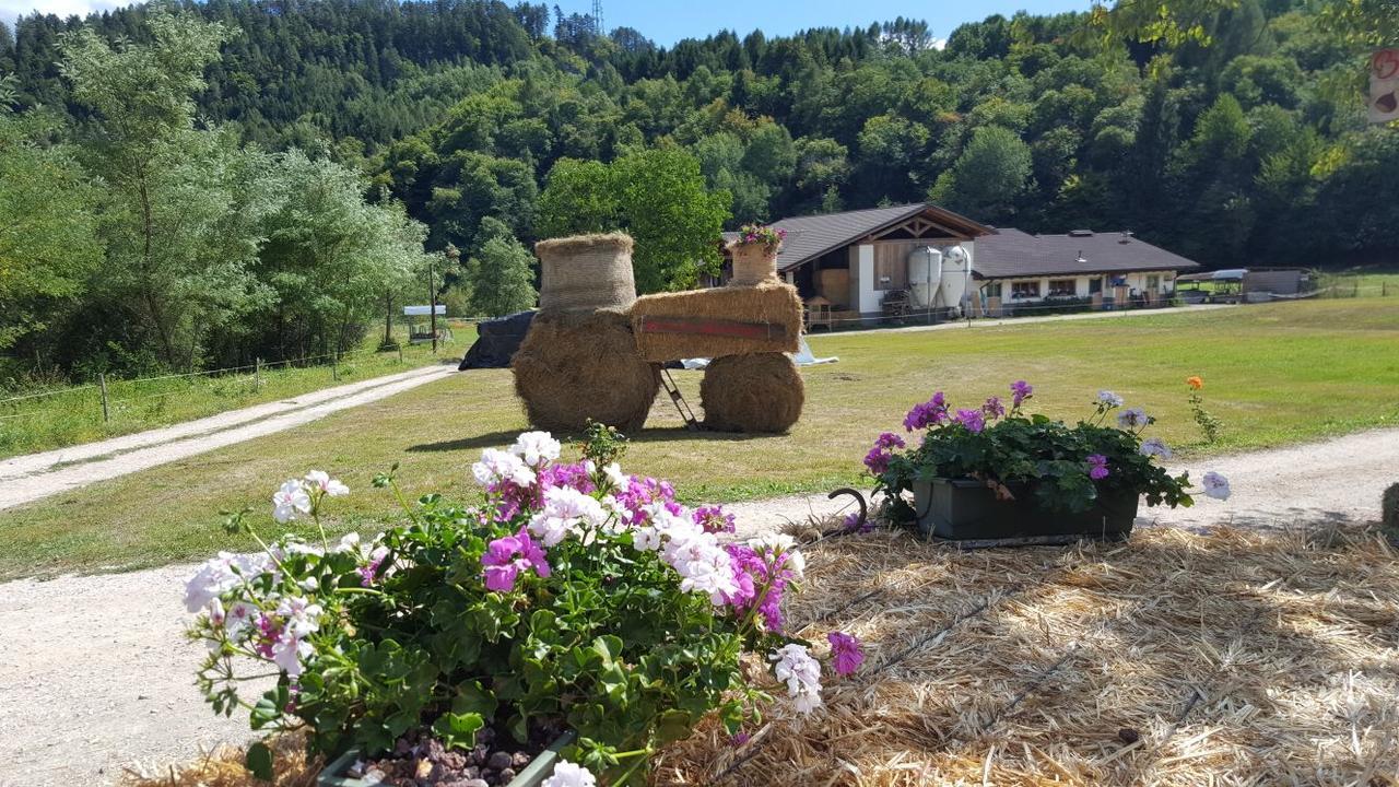 Agriturismo Fattoria Dalcastagnè Torcegno Extérieur photo